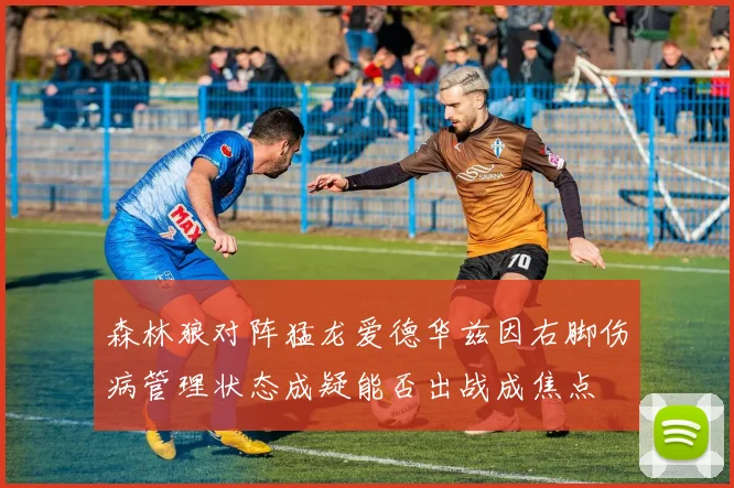 森林狼对阵猛龙爱德华兹因右脚伤病管理状态成疑能否出战成焦点