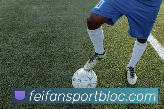 非凡体育APP 封面图